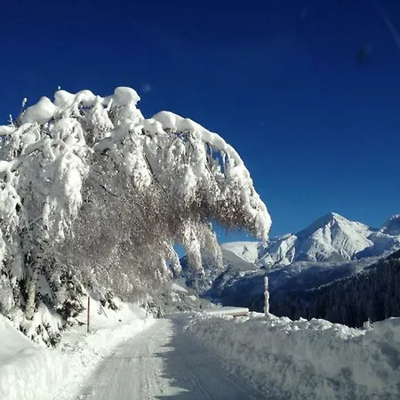 Casa Aurora זדרון