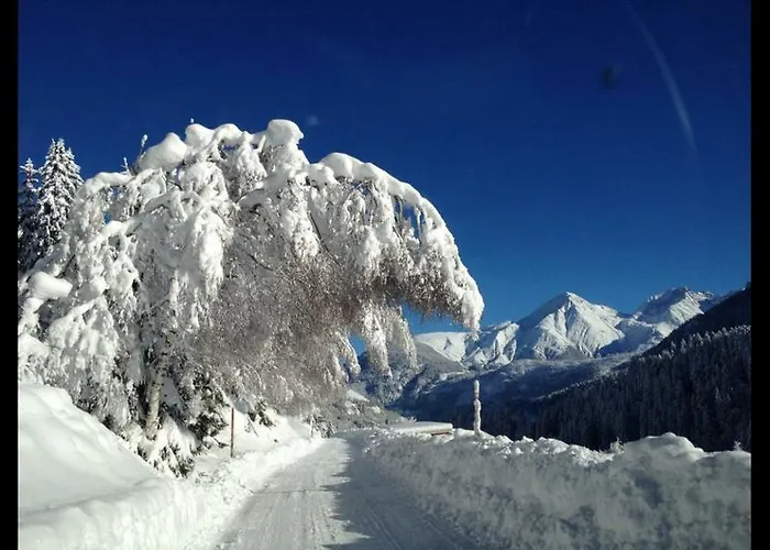 Casa Aurora سيدرن
